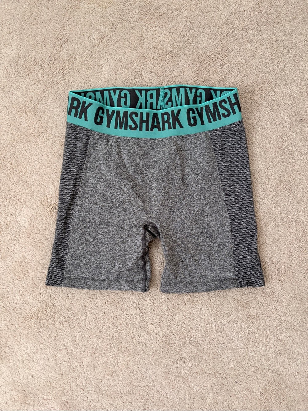 Gymshark Gray Seamless Bike Shorts with Teal Logo Waistband